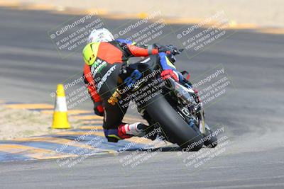 media/Mar-10-2024-SoCal Trackdays (Sun) [[6228d7c590]]/9-Turn 8 Backside (1150am)/